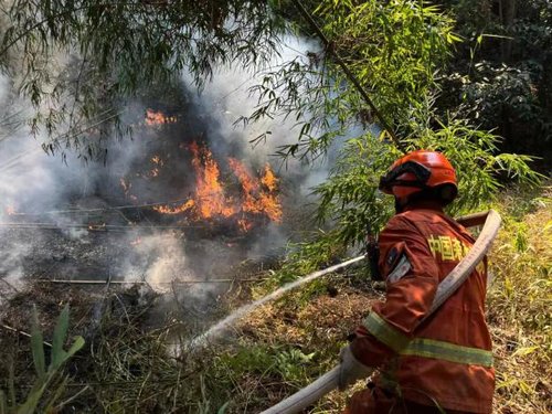 重庆铜梁区灭火行动