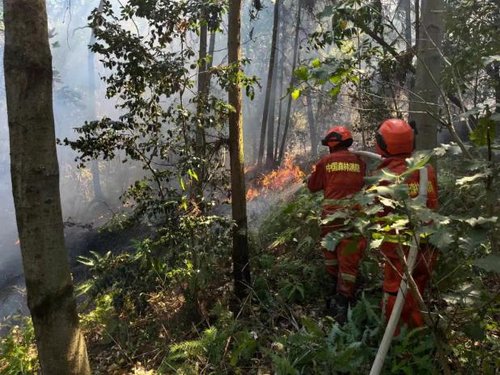 重庆铜梁区灭火行动